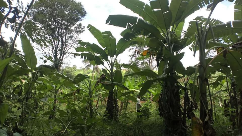 Happy Homestay Buon Ma Thuot Exterior photo
