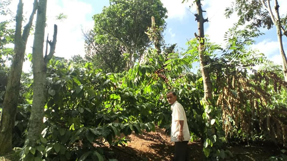 Happy Homestay Buon Ma Thuot Exterior photo